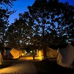 Pilgrim Camp O Pedrouzo