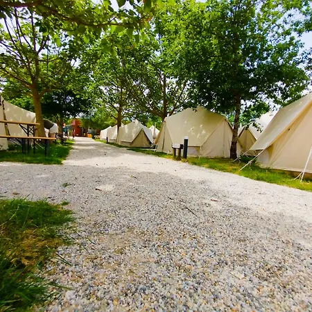 Pilgrim Camp *