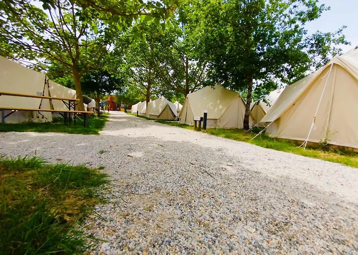 Pilgrim Camp *