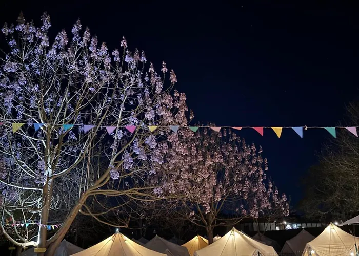 Pilgrim Camp ラグジュアリーテント オ・ペドロウソ